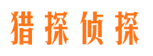 湛河市婚姻调查